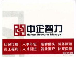 中企智力 企業(yè)社保代理與北京管理咨詢服務(wù)的專業(yè)伙伴