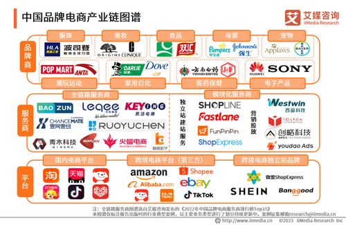 2023年中國品牌電商服務(wù)商行業(yè)研究報(bào)告 信息技術(shù)咨詢服務(wù)